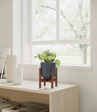 Load image into Gallery viewer, Iron Gray stand:walnut