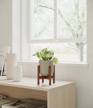 Load image into Gallery viewer, Sage Green stand:walnut