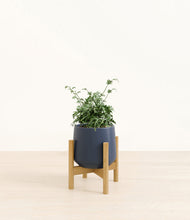 Load image into Gallery viewer, Deep Navy stand:bamboo