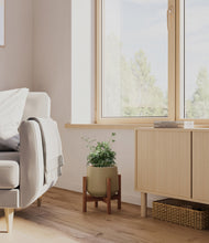 Load image into Gallery viewer, Olive stand:walnut