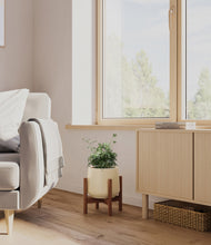 Load image into Gallery viewer, Almond Green stand:walnut