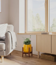 Load image into Gallery viewer, Mustard stand:walnut