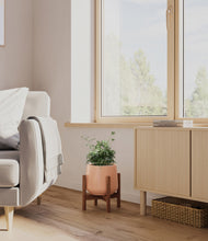 Load image into Gallery viewer, Calm Rose stand:walnut