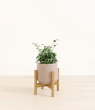 Load image into Gallery viewer, Eternal Gray stand:bamboo