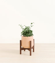 Load image into Gallery viewer, Gentle Pink stand:walnut