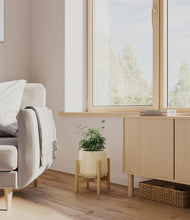 Load image into Gallery viewer, Almond Green stand:bamboo