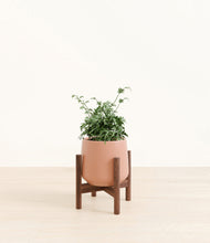 Load image into Gallery viewer, Calm Rose stand:walnut