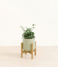 Load image into Gallery viewer, Turquoise stand:bamboo