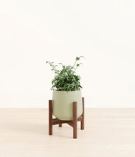 Load image into Gallery viewer, Turquoise stand:walnut