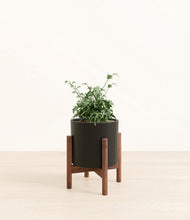 Load image into Gallery viewer, Black stand:walnut