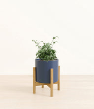 Load image into Gallery viewer, Deep Navy stand:bamboo