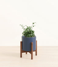 Load image into Gallery viewer, Deep Navy stand:walnut
