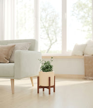 Load image into Gallery viewer, Cream stand:walnut