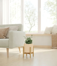 Load image into Gallery viewer, Cream stand:bamboo