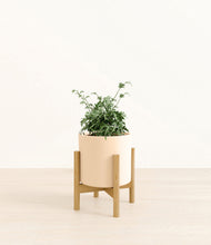 Load image into Gallery viewer, Cream stand:bamboo