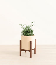 Load image into Gallery viewer, Cream stand:walnut