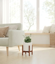 Load image into Gallery viewer, White stand:walnut