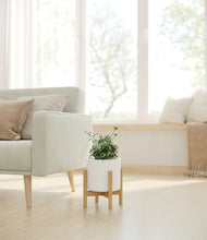 Load image into Gallery viewer, White stand:bamboo