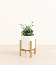 Load image into Gallery viewer, White stand:bamboo