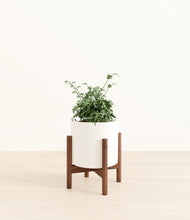 Load image into Gallery viewer, White stand:walnut