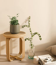 Load image into Gallery viewer, Olive