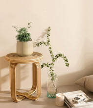 Load image into Gallery viewer, Almond Green