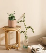 Load image into Gallery viewer, Gentle Pink