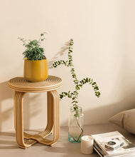 Load image into Gallery viewer, Mustard