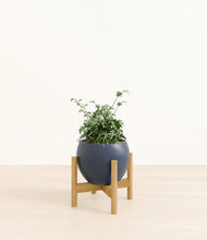 Load image into Gallery viewer, Deep Navy stand:bamboo