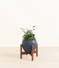 Load image into Gallery viewer, Deep Navy stand:walnut