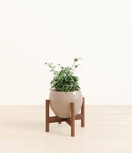 Load image into Gallery viewer, Desert Brown stand:walnut