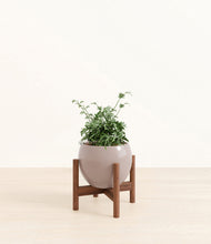 Load image into Gallery viewer, Winter Clouds stand:walnut