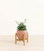 Load image into Gallery viewer, Calm Rose stand:bamboo