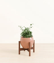 Load image into Gallery viewer, Calm Rose stand:walnut