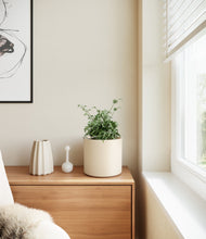 Load image into Gallery viewer, Cream