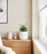 Load image into Gallery viewer, White