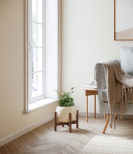 Load image into Gallery viewer, Shiny EggWhite stand:walnut