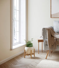 Load image into Gallery viewer, Shiny EggWhite stand:bamboo