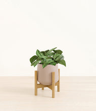 Load image into Gallery viewer, Eternal Gray stand:bamboo