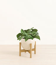 Load image into Gallery viewer, Shiny EggWhite stand:bamboo