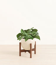 Load image into Gallery viewer, Shiny EggWhite stand:walnut