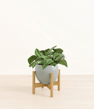 Load image into Gallery viewer, Deep Ocean stand:bamboo