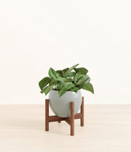 Load image into Gallery viewer, Deep Ocean stand:walnut