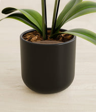 Load image into Gallery viewer, Stone Black stand:all