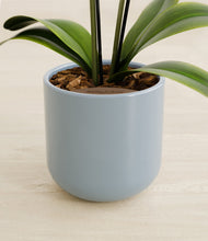 Load image into Gallery viewer, Misty Blue stand:all