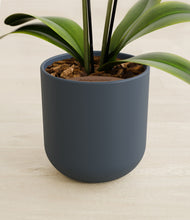 Load image into Gallery viewer, Iron Gray stand:all