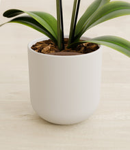 Load image into Gallery viewer, Natural Bamboo stand:all