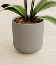 Load image into Gallery viewer, Sage Green stand:all