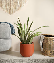 Load image into Gallery viewer, Earth Red