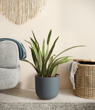 Load image into Gallery viewer, Iron Gray